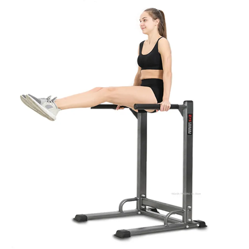 Parallel Bars And Rings For Ch - đánh giá và giá Dip Bar Parallel
